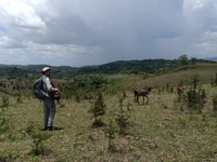 Abb. 1 Titelbild.webp