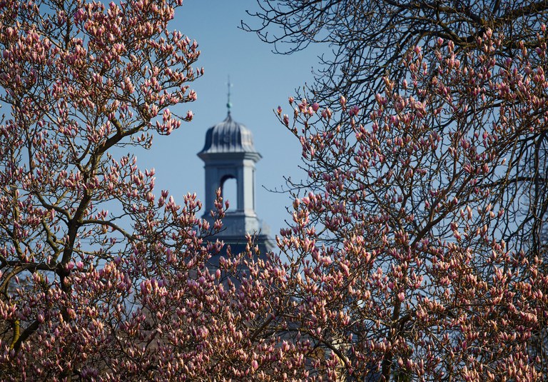 Frühling am Hofgarten