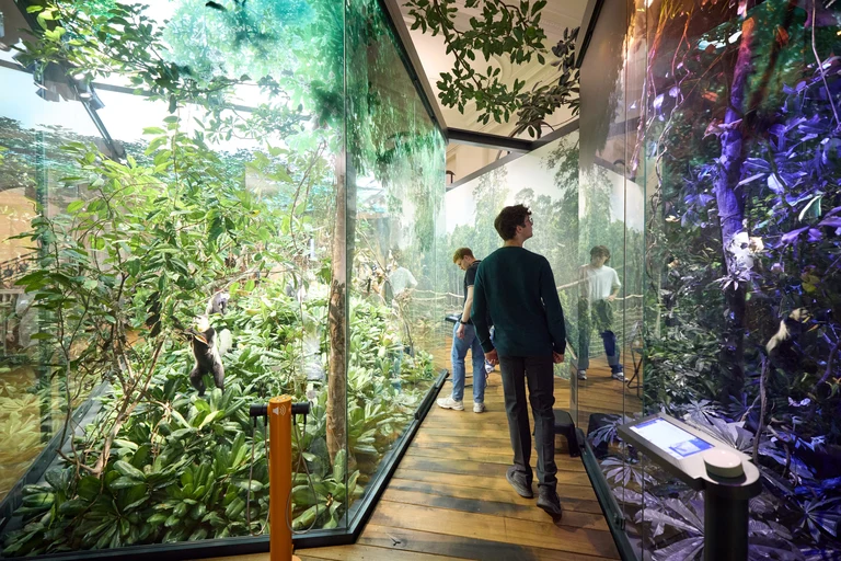 Ein Stipendiat*innen-Treffen im Museum Koenig Bonn