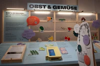 What-the-health_BFro_021_a