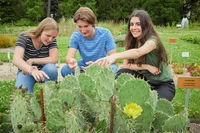 Teaser  Jubiläumsprojekt Option 2_Foto Volker Lannert.jpg