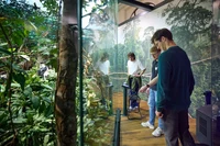 Ein Abstecher in den Regenwald