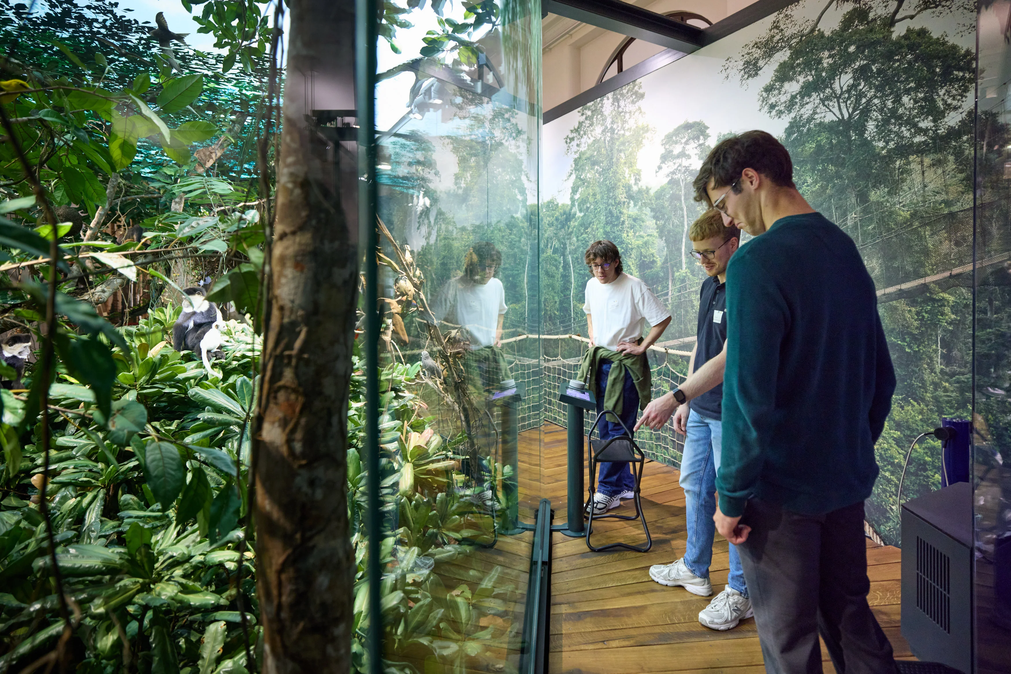 Ein Abstecher in den Regenwald