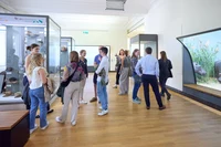 Auch der Austausch zwischen den einzelnen Studierenden und den Förder*innen kam beim Treffen nicht zu kurz